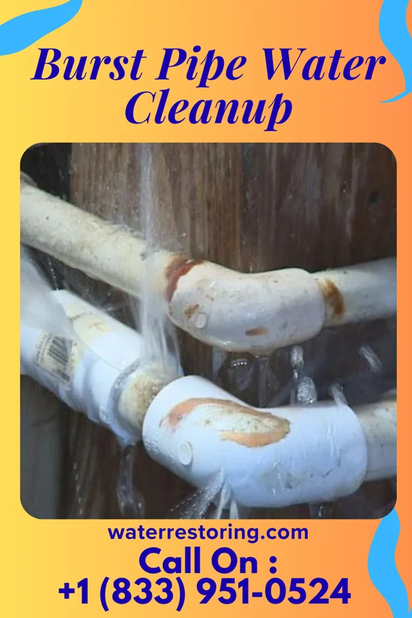 Burst Pipe Water Cleanup in Beulaville, NC