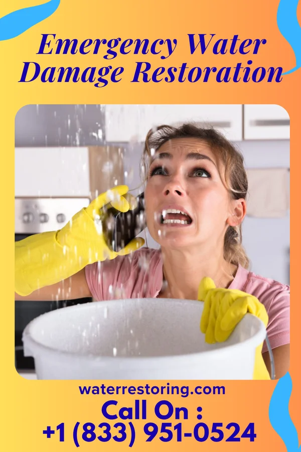 Emergency Water Damage Restoration in Beulaville, NC