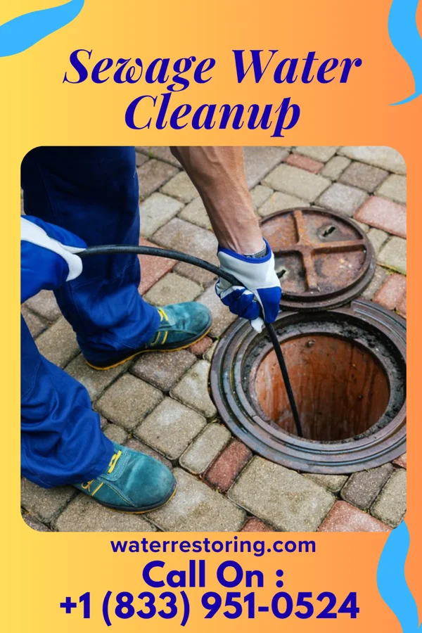 Sewage Water Cleanup in Beulaville, NC